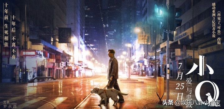 小Q影视_小q影视官网