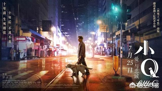 小Q影视_小q影视官网
