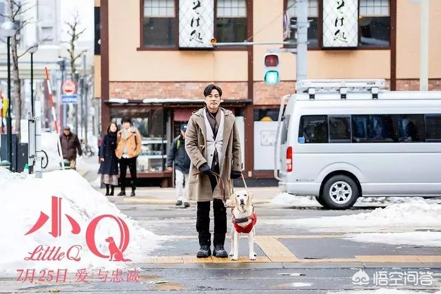 小Q影视_小q影视官网