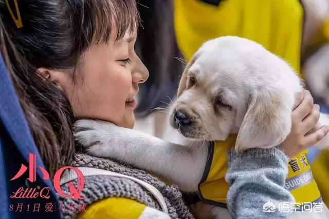 小Q影视_小q影视官网
