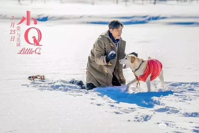 小Q影视_小q影视官网