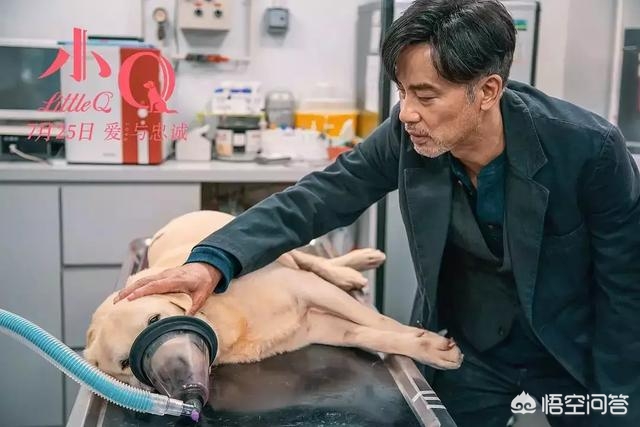 小Q影视_小q影视官网