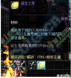 dnf诞生之芽_dnf诞生之芽怎么获得