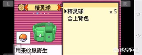 口袋妖怪太阳_口袋妖怪太阳/月亮