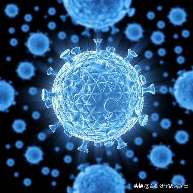 一般来说蚊子叮人蚂蚁庄园_一般来说蚊子叮人 蚂蚁庄园