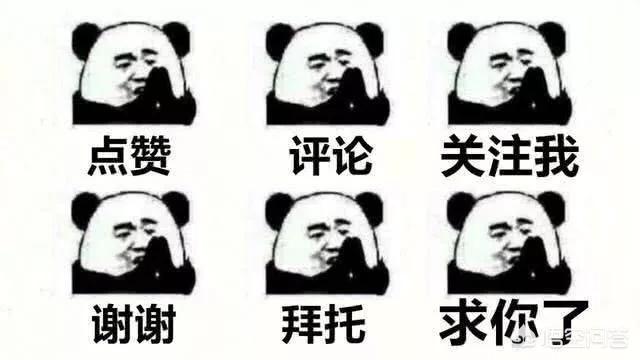 lol小智淘宝店_lol小智淘宝店叫什么