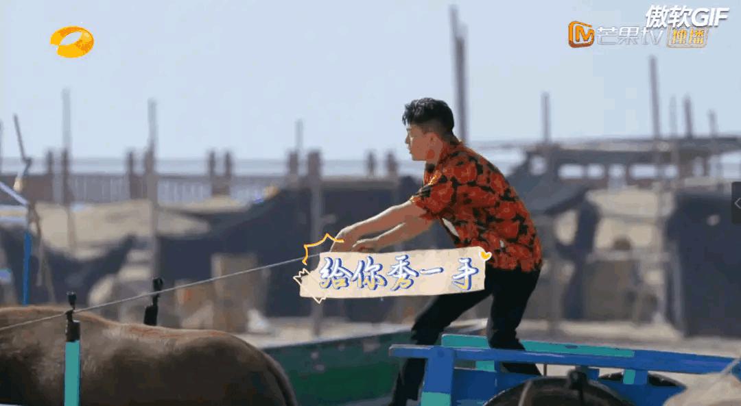 首播影院网站_首播影院网站建设