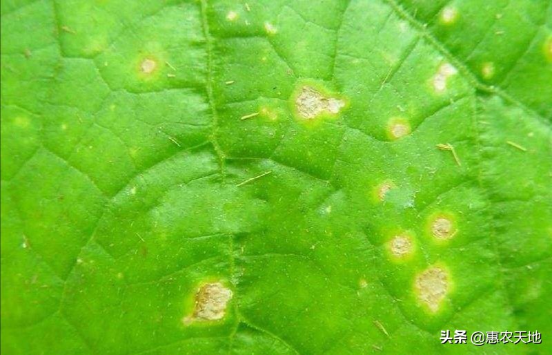 黄瓜影院_十八岁在线观看免费高清电视剧大全