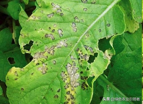 黄瓜影院_十八岁在线观看免费高清电视剧大全