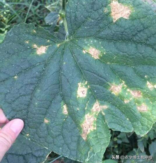 黄瓜影院_十八岁在线观看免费高清电视剧大全